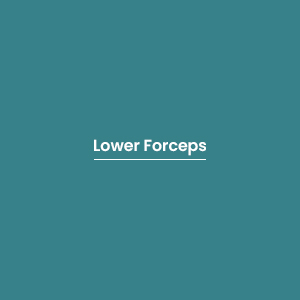 Lower Forceps